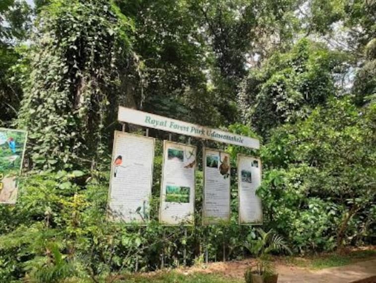 Udawattakele Forest Reserve-5